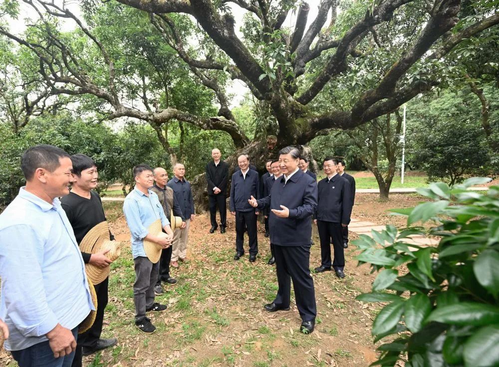 微信图片_20230417175741.jpg 微信图片_20230417175741.jpg